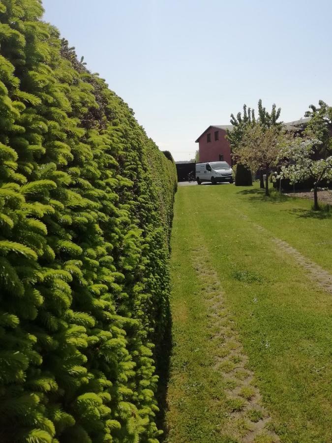 فيلا Haeuschen Im Gruenen Jornstorf المظهر الخارجي الصورة